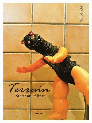 cover image of Terrain